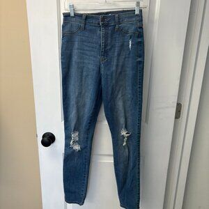 Fashion Nova Stretch Ripped Skinny Jeans